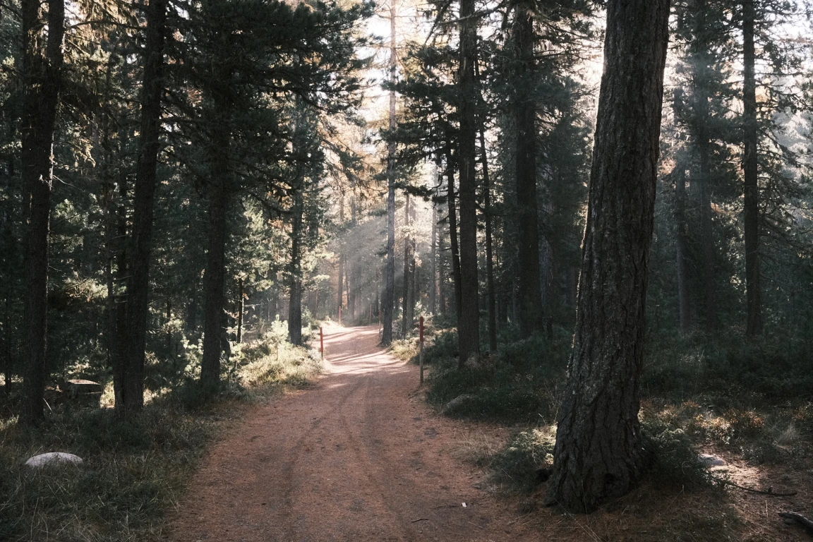 Stazerwald, Switzerland