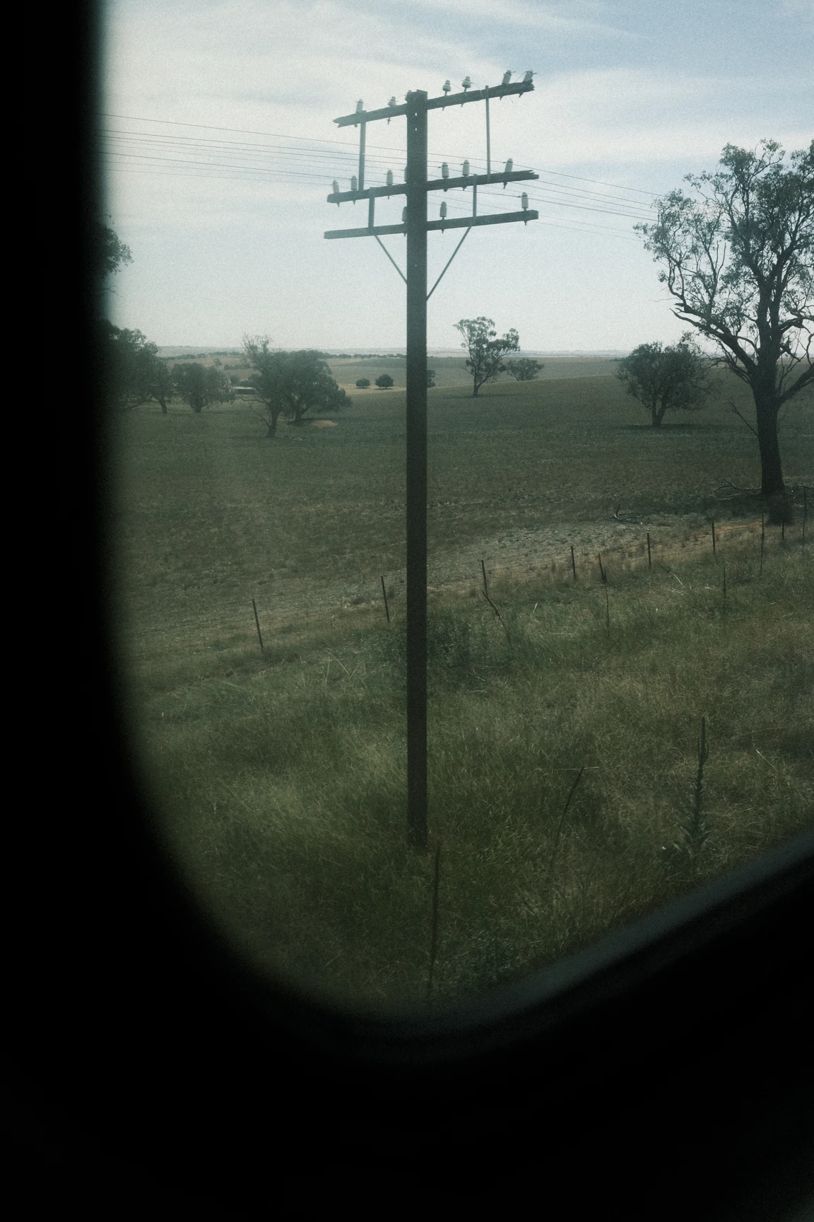 New South Wales, Australia